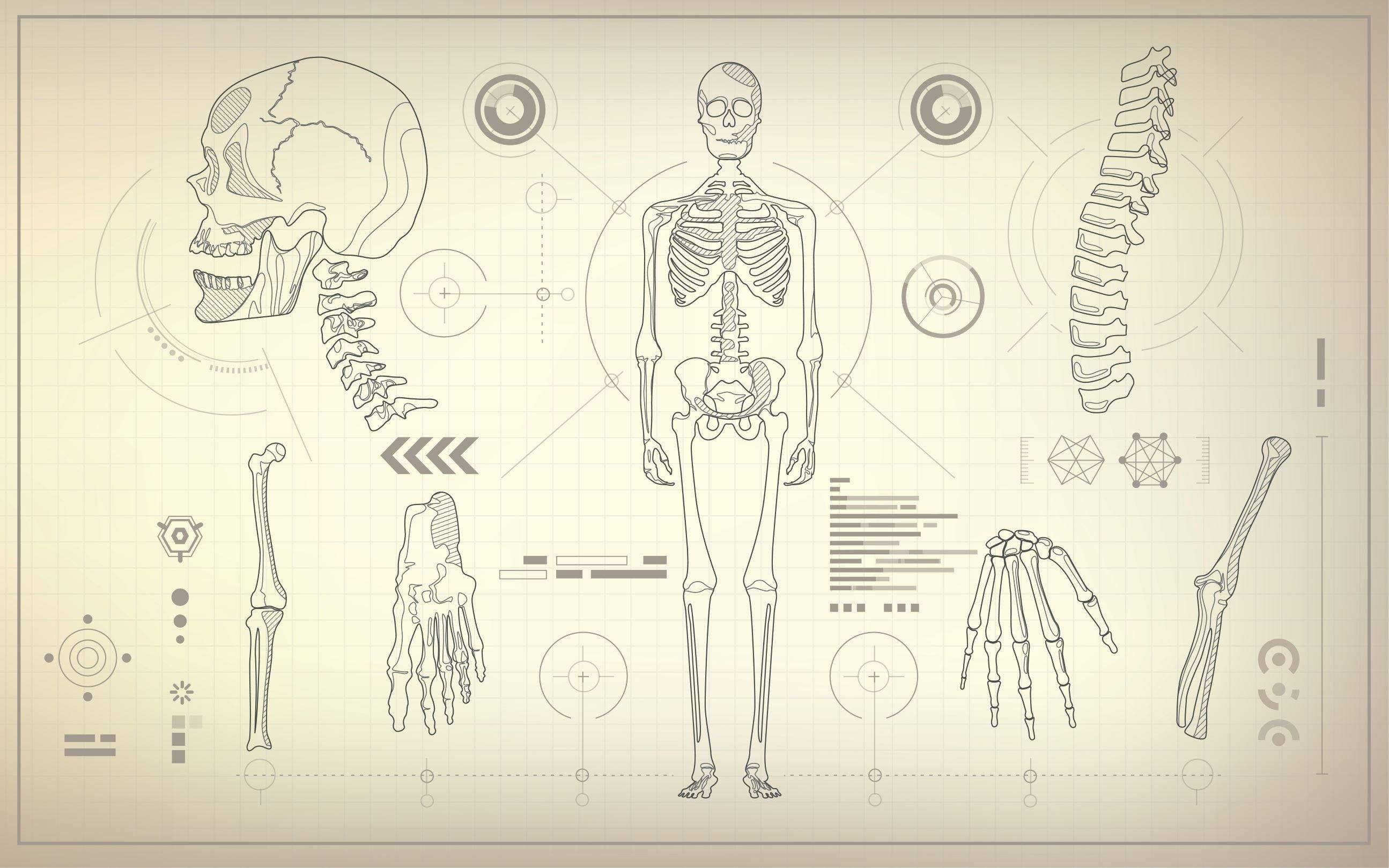 The Smallest Bones In our Body Make a Big Difference - Hearing