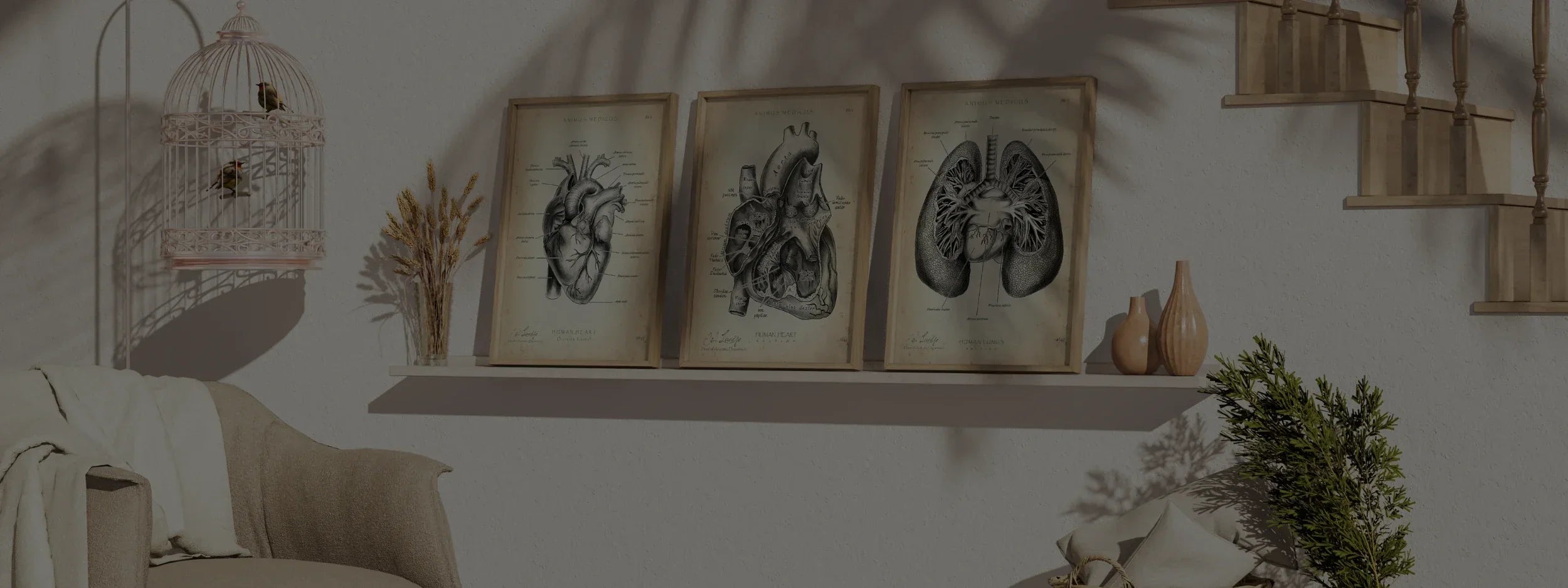 Heart Anatomy