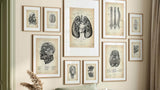 Vintage - Animus Medicus GmbH