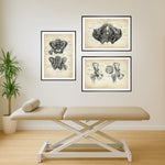 Basin Anatomy Collection