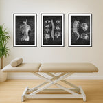 Back Anatomy Collection - Chalkboard