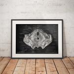 Pelvic floor muscles - Chalkboard