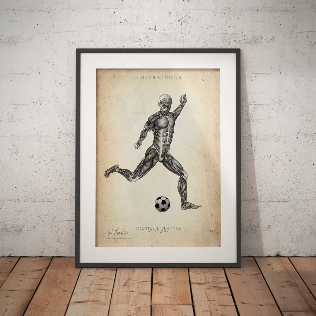 Soccer Anatomy Poster