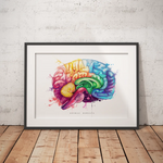 Brain Anatomy - Rainbow