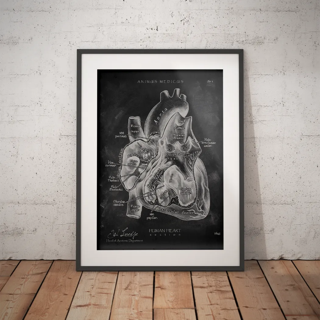 Heart Section - Chalkboard