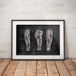 Thigh muscles - Chalkboard