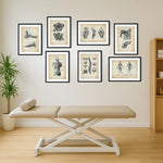 Physio Practice Starter Set