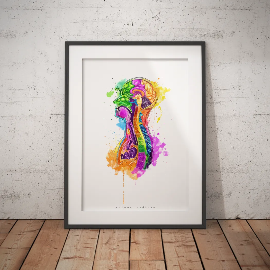 Thorax in Sagittal Section - Rainbow