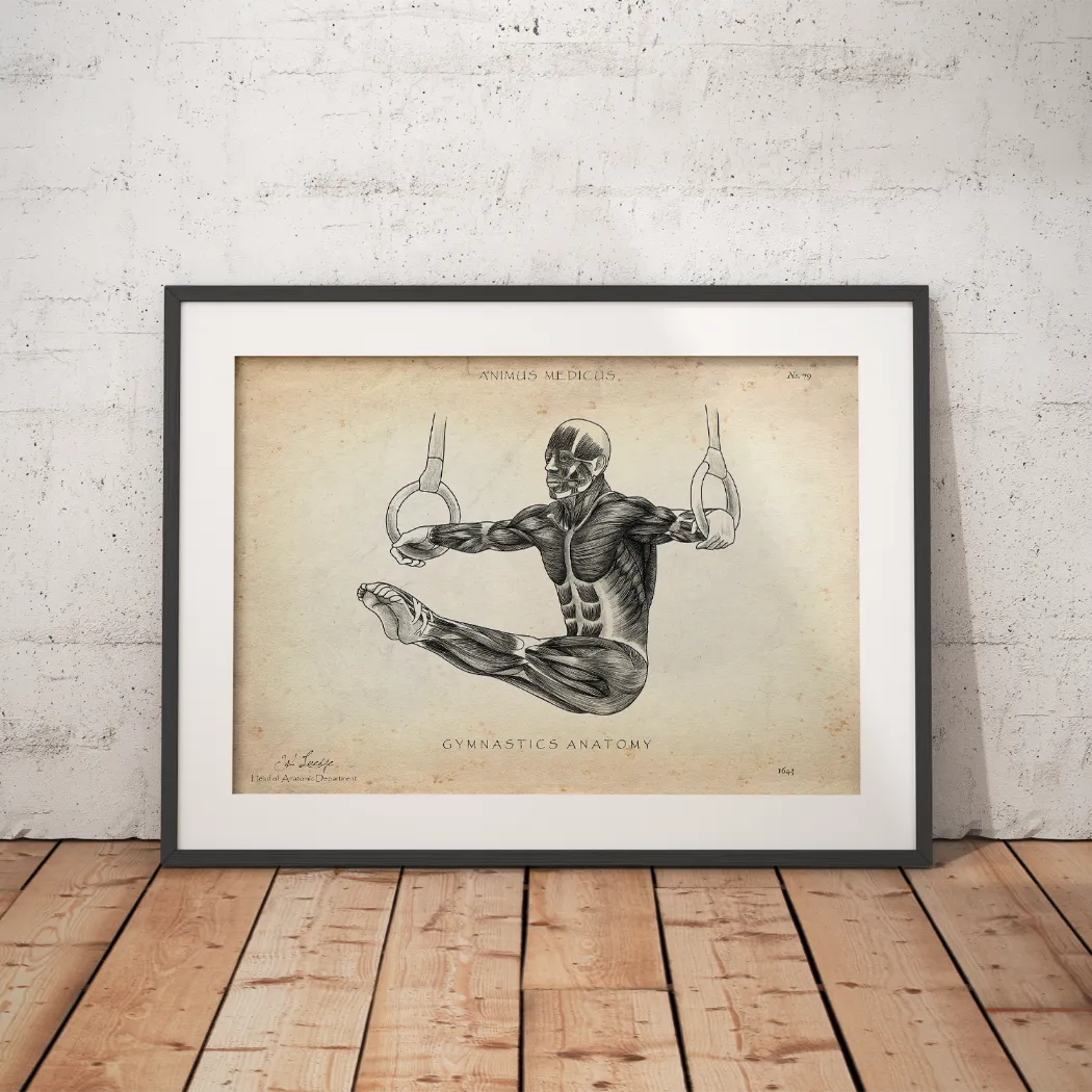 Gymnastics Anatomy Poster