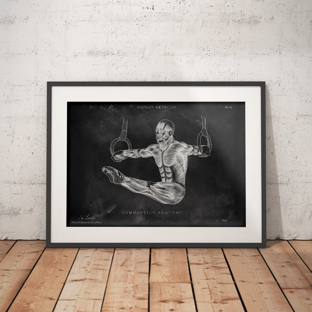 Gymnastics Anatomy Poster - Chalkboard