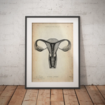 Anatomy of the Uterus