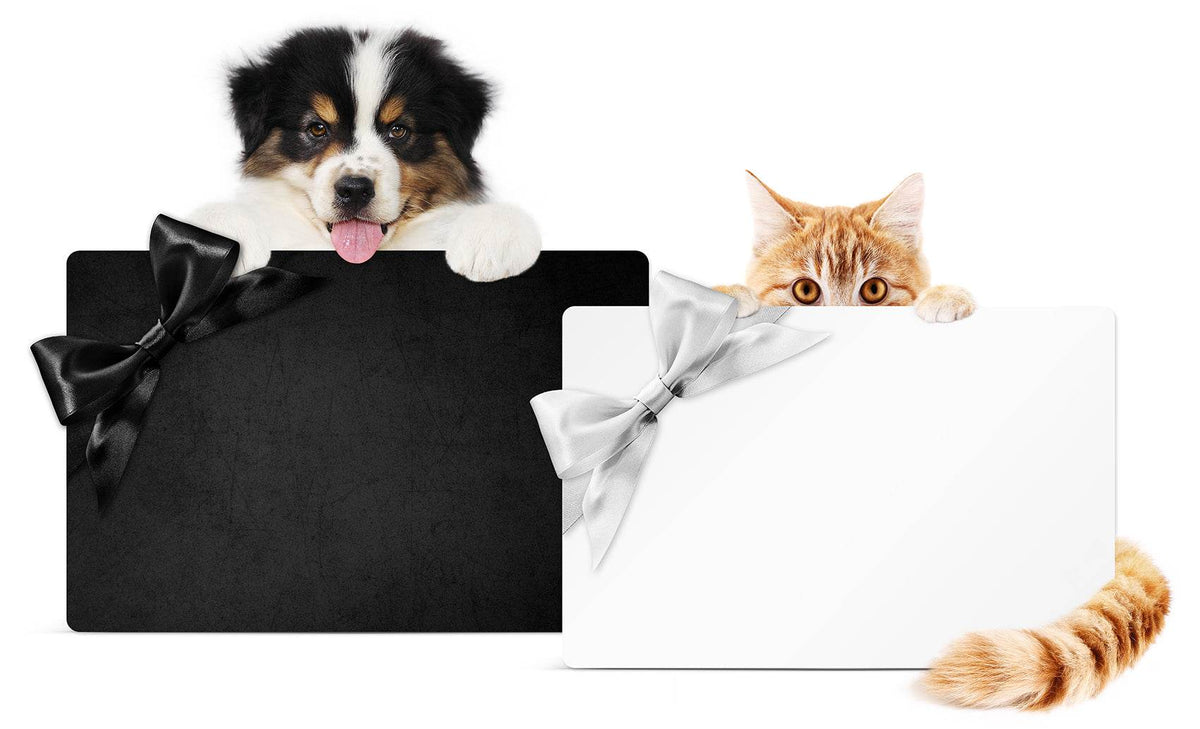 Geschenkideen für Tierärzte - Animus Medicus GmbH