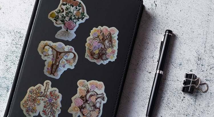 Aufkleber - Animus Medicus GmbH