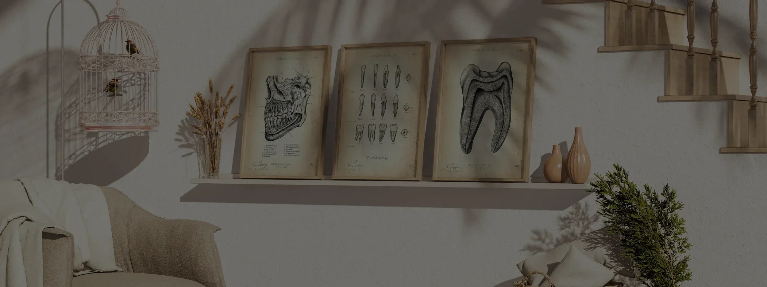 Dentistry