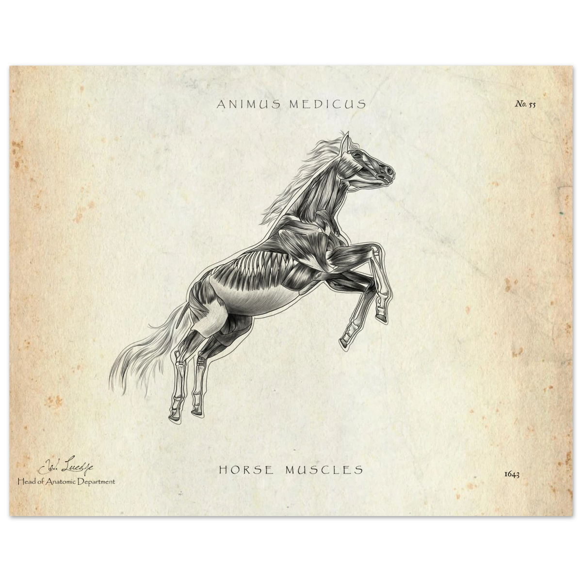 0e60c569-67ec-474c-b380-550a8336ac98