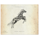 0e60c569-67ec-474c-b380-550a8336ac98