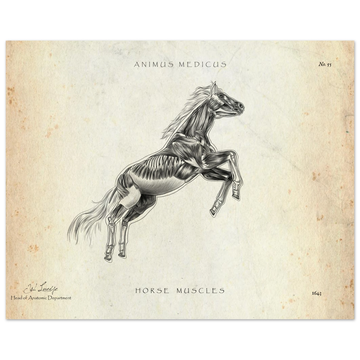 0e60c569-67ec-474c-b380-550a8336ac98