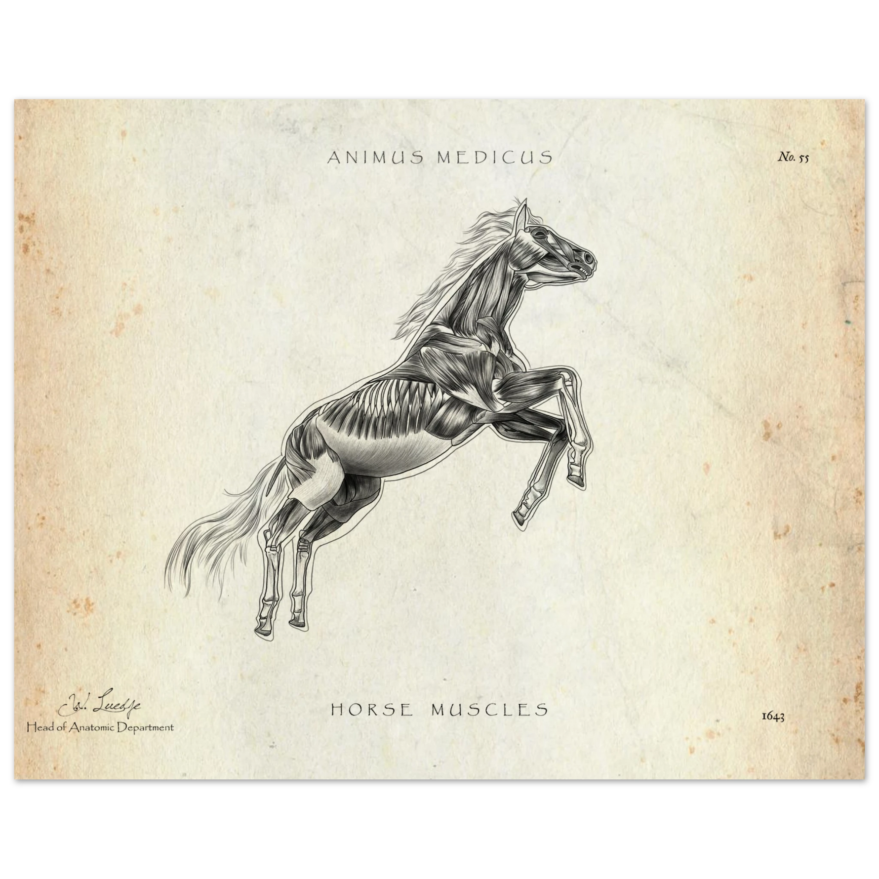 0e60c569-67ec-474c-b380-550a8336ac98