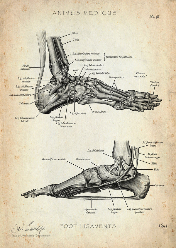 Foot straps