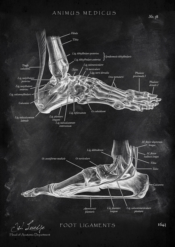 Foot straps - Chalkboard