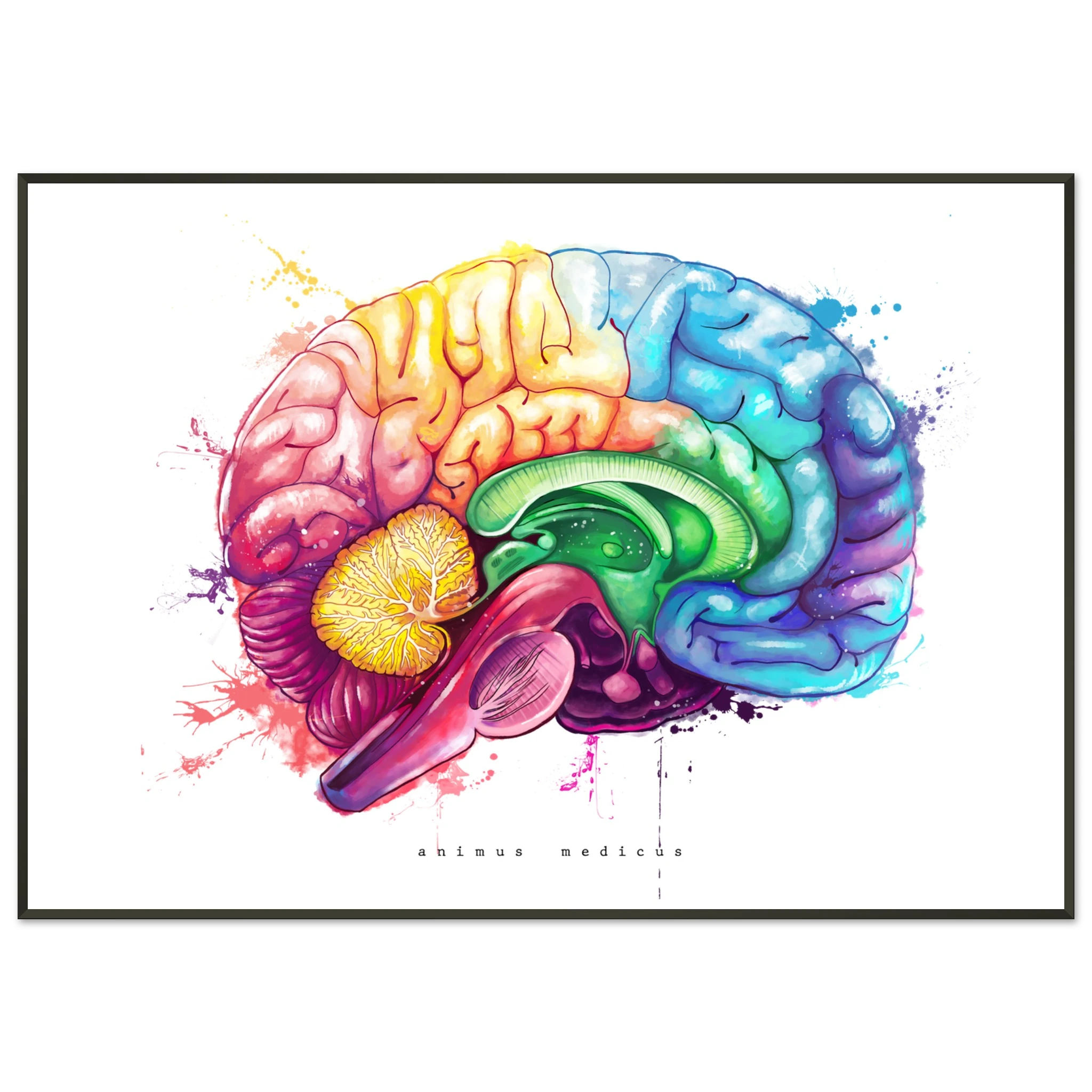 5d0b8efa-242d-47fe-9508-fa8fb8b0002f