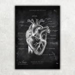 5er Paket Chalk Edition - Bestseller - Animus Medicus GmbH