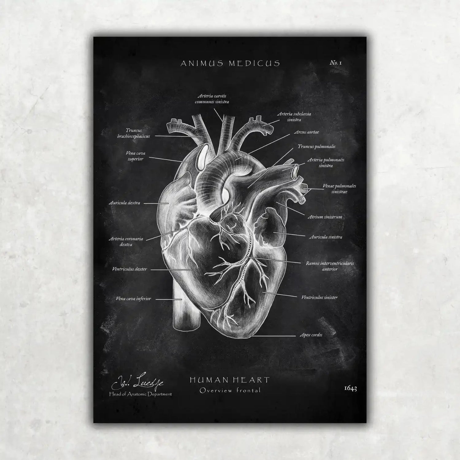 5er Paket Chalk Edition - Bestseller - Animus Medicus GmbH