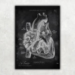 5er Paket Chalk Edition - Bestseller - Animus Medicus GmbH