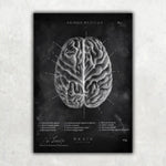 5er Paket Chalk Edition - Bestseller - Animus Medicus GmbH