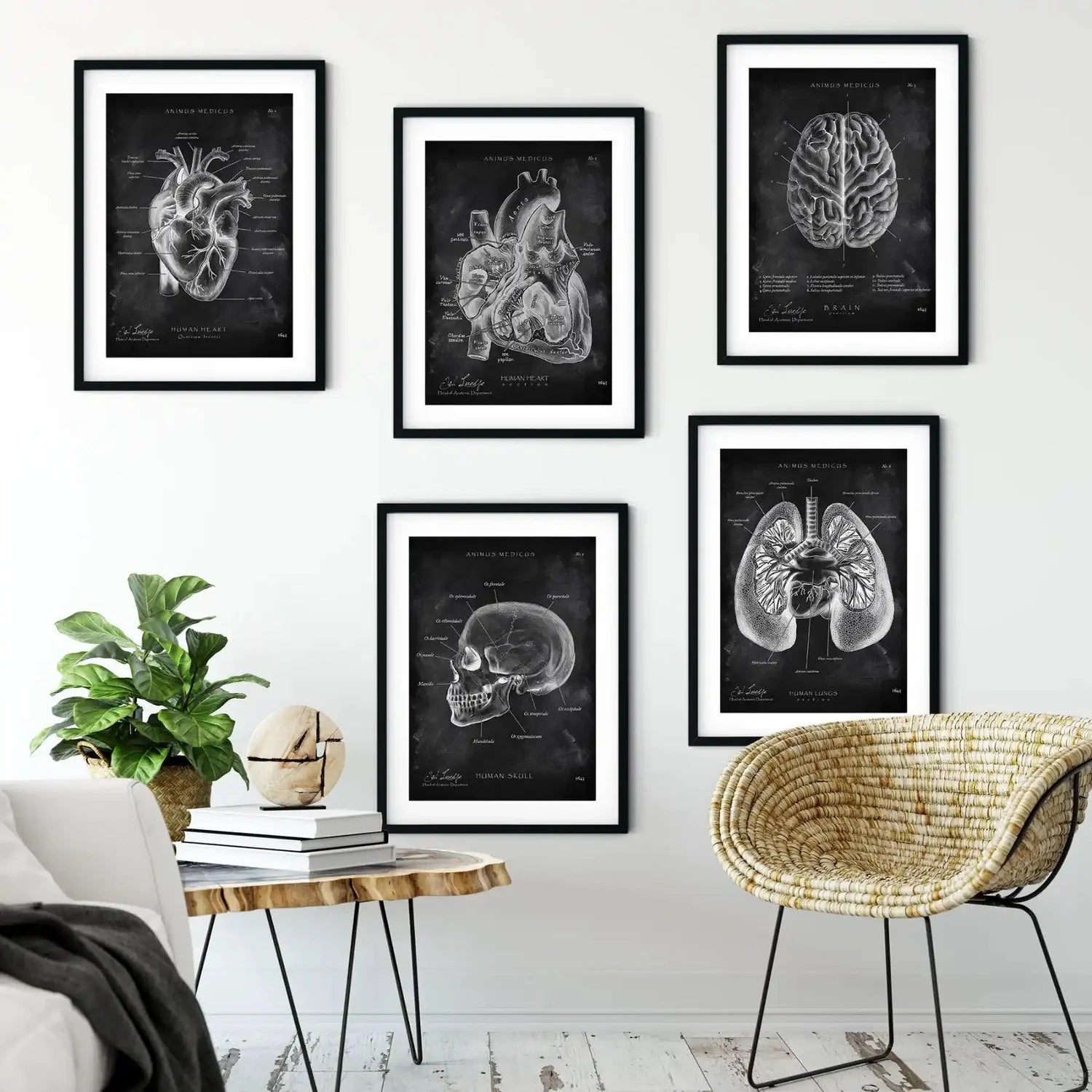 Top 5 Bestsellers Pack - Chalkboard