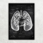 5er Paket Chalk Edition - Bestseller - Animus Medicus GmbH