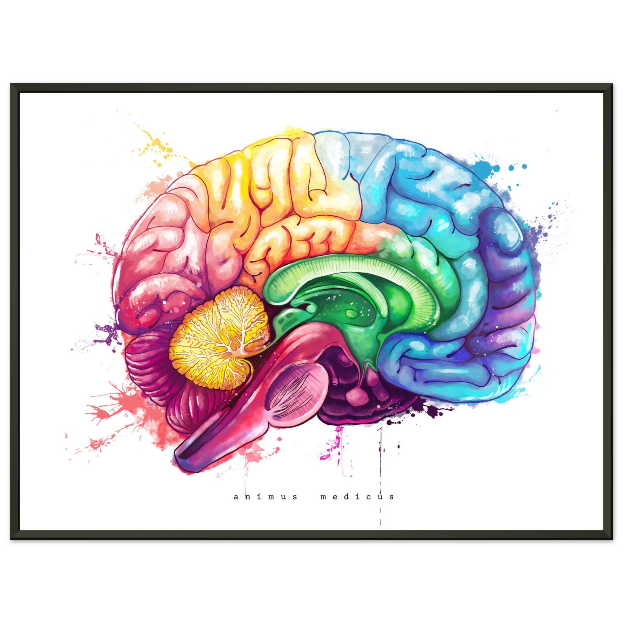 63b316ce-57ed-4bd0-a00c-cab20c227041