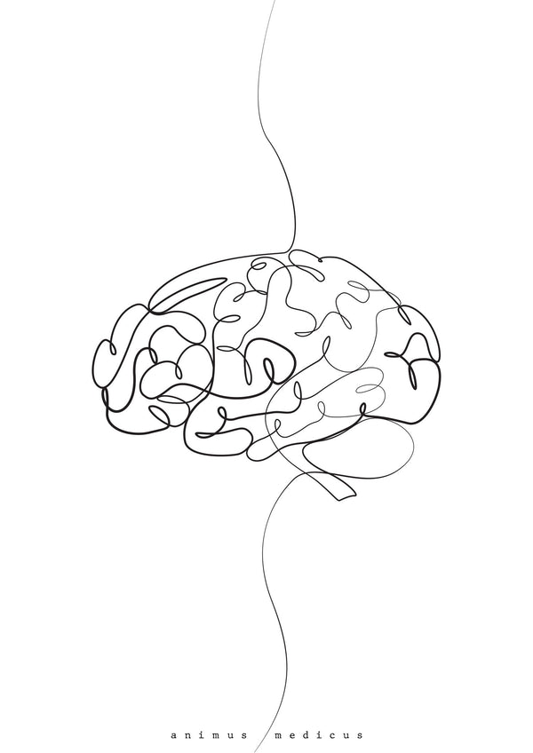 Brain Anatomy Minimalist