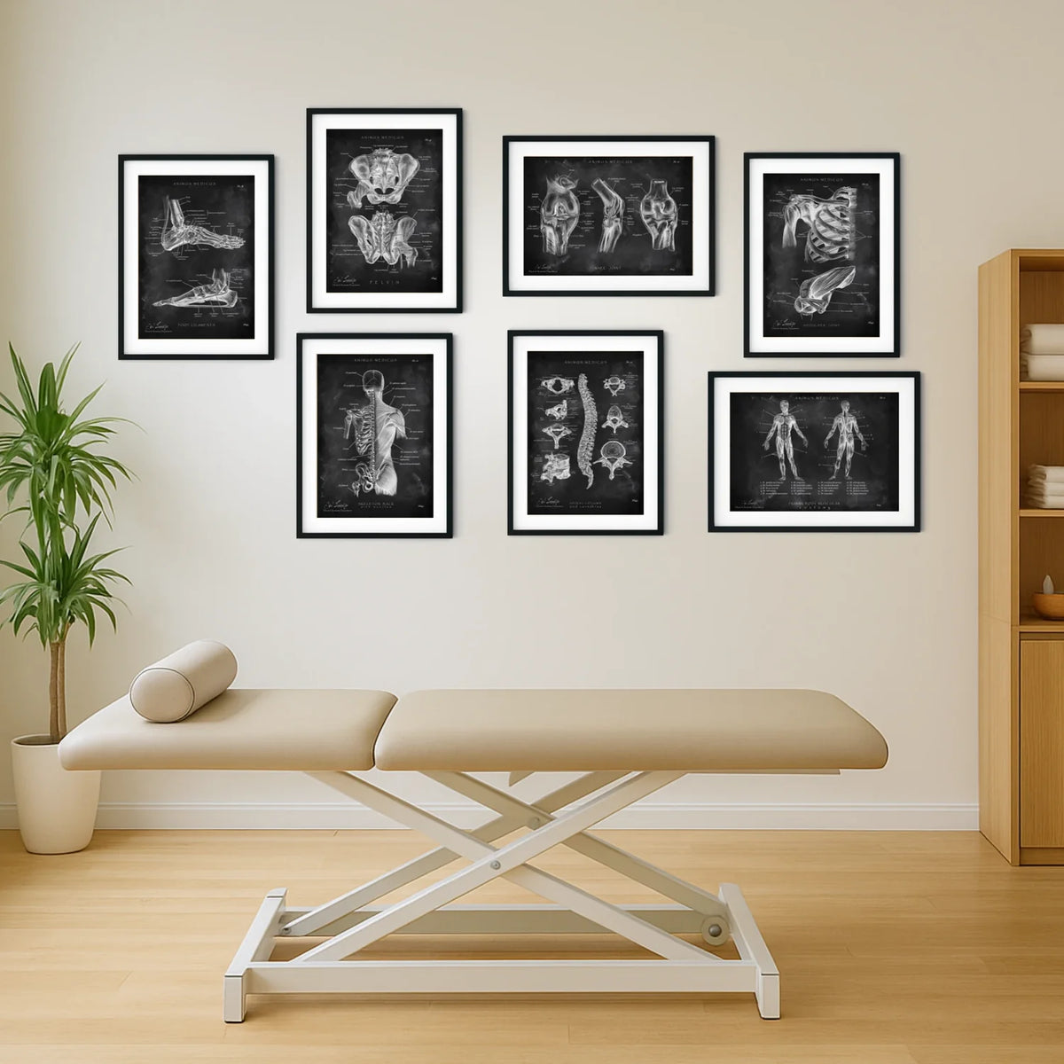 Clinic Starter Set Chalkboard