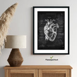 Heart Anatomy - Chalkboard