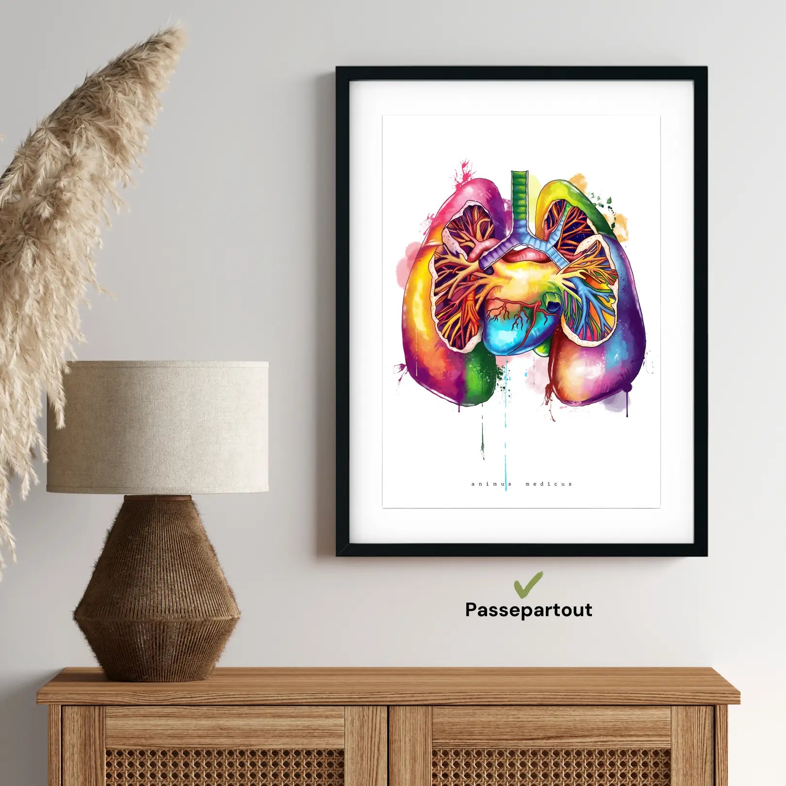 Lungs Anatomy - Rainbow