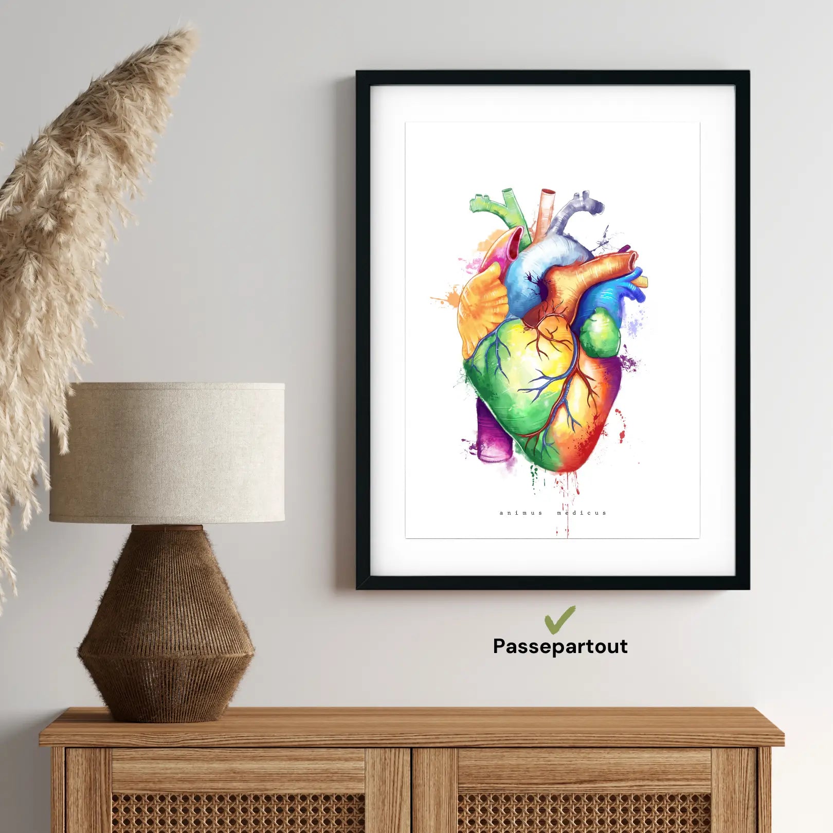 Heart Anatomy - Rainbow