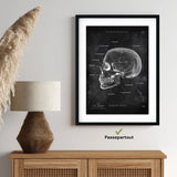 Skull Bones Anatomy - Chalkboard