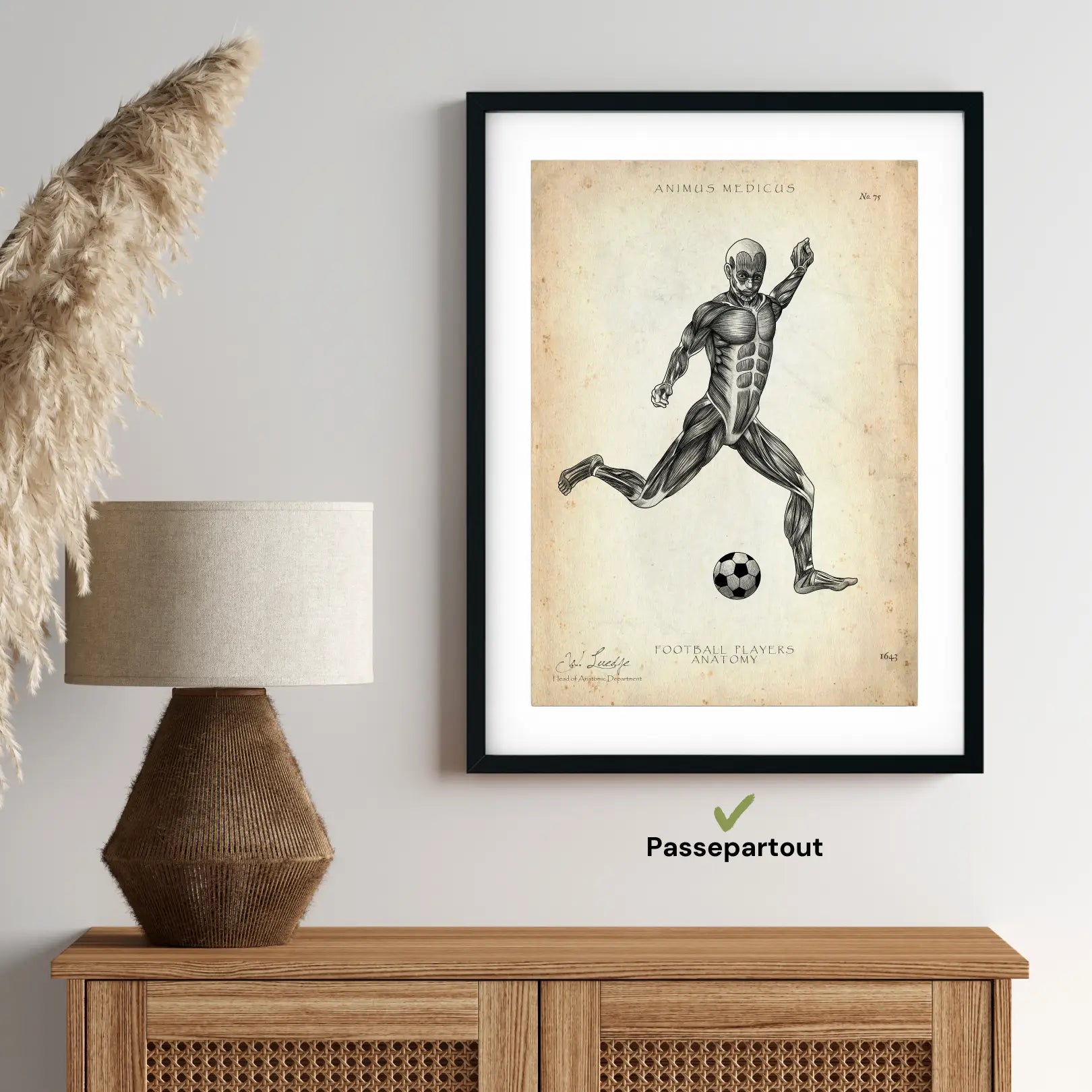 Soccer Anatomy Poster