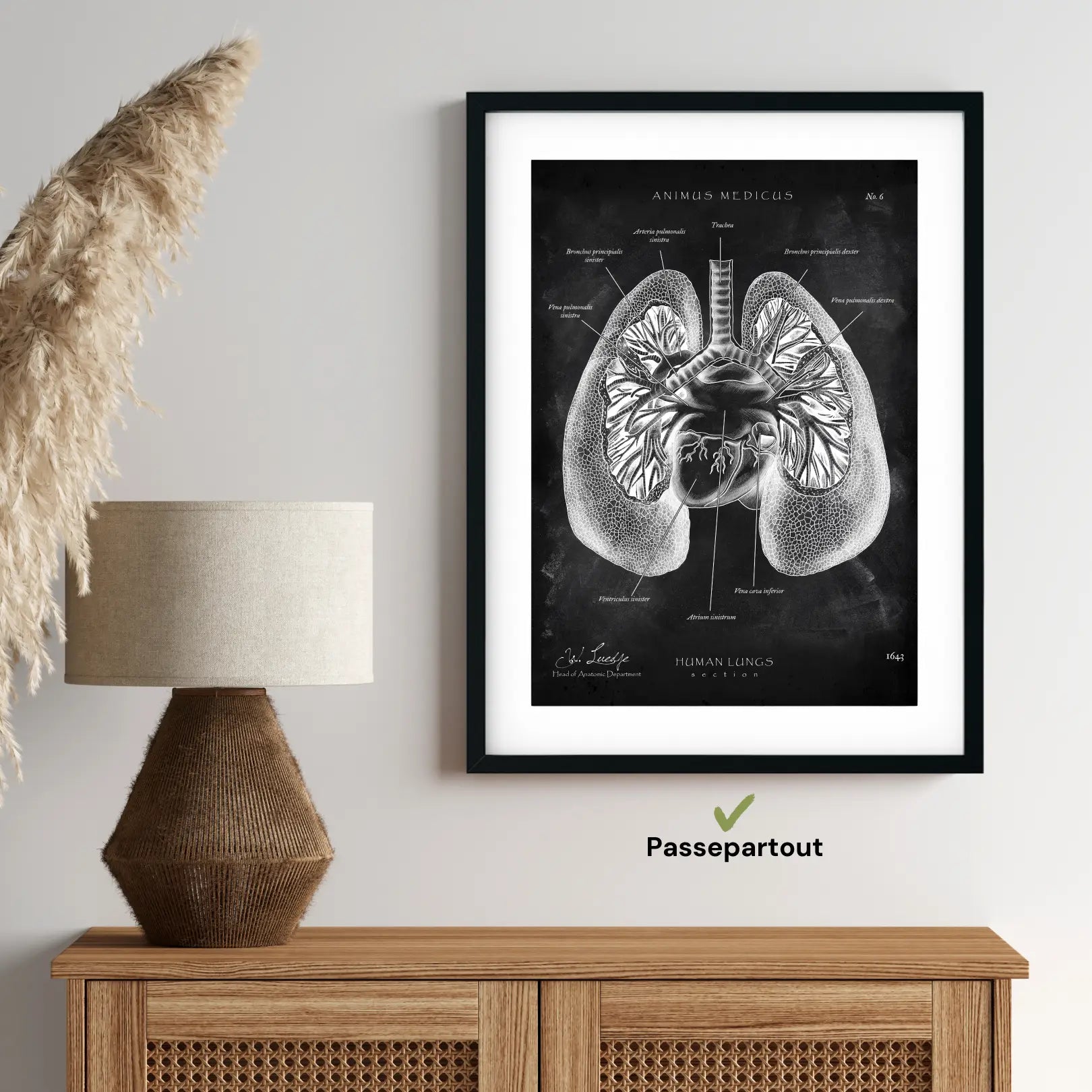 Lung Anatomy - Chalkboard