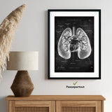 Lungs Anatomy - Chalkboard