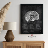 Brain in sagittal section - chalkboard