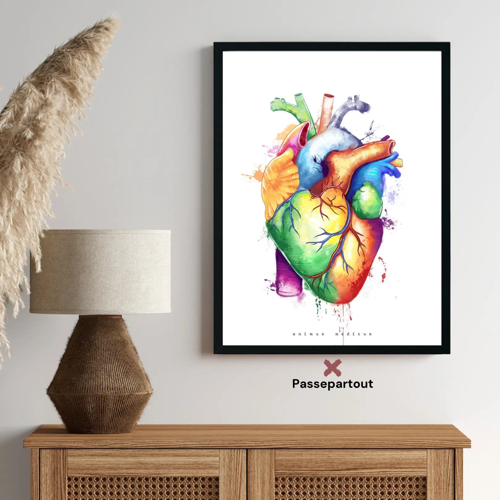 Heart Anatomy - Rainbow