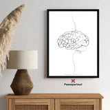 Brain anatomy minimalist