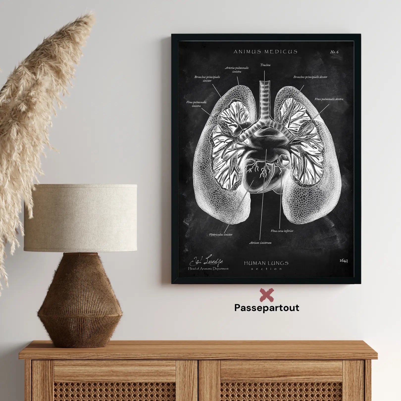 Lung Anatomy - Chalkboard