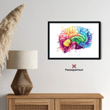 Brain Anatomy - Rainbow