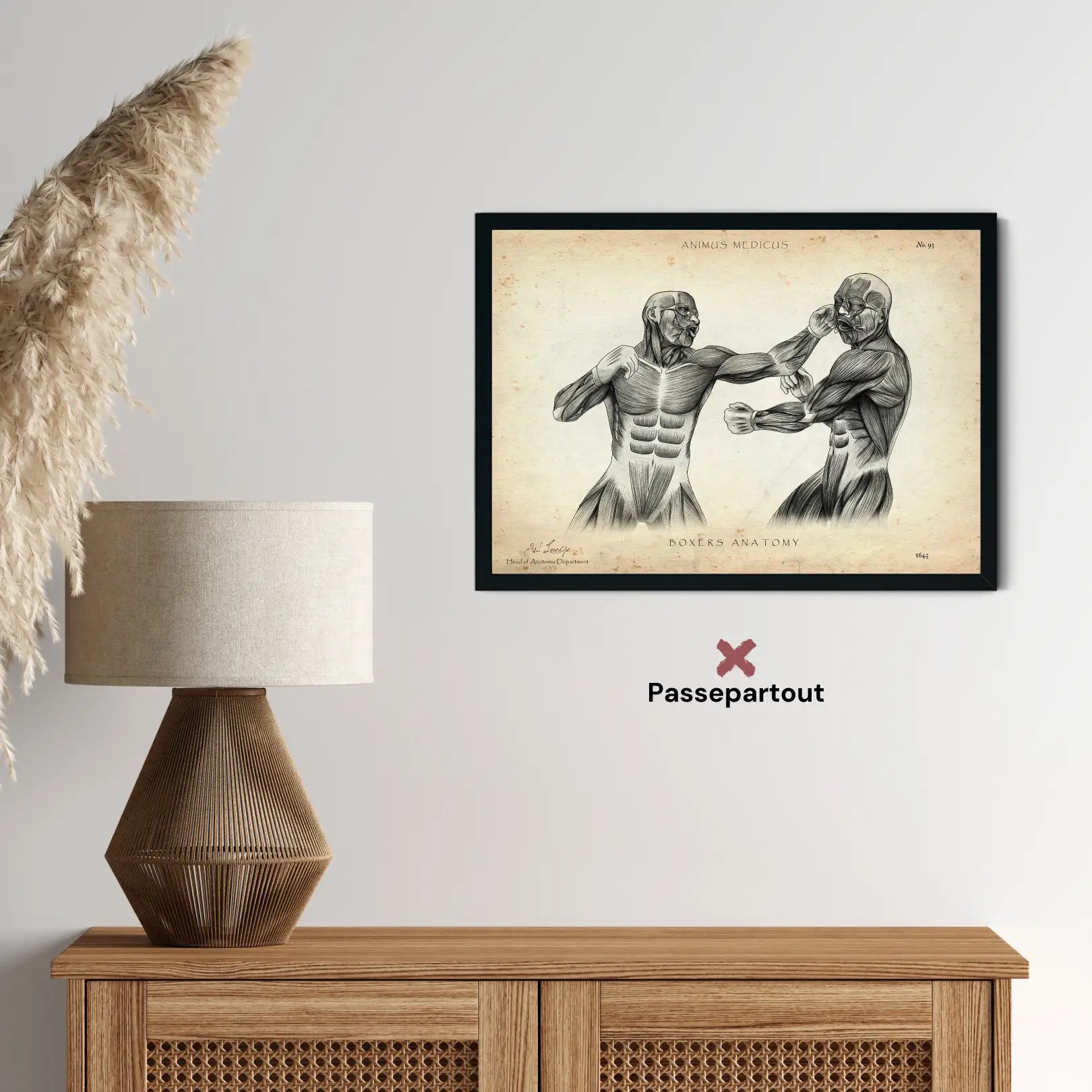 Boxer anatomy poster