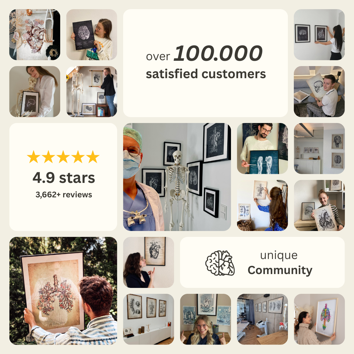 Animus Medicus Gift Card