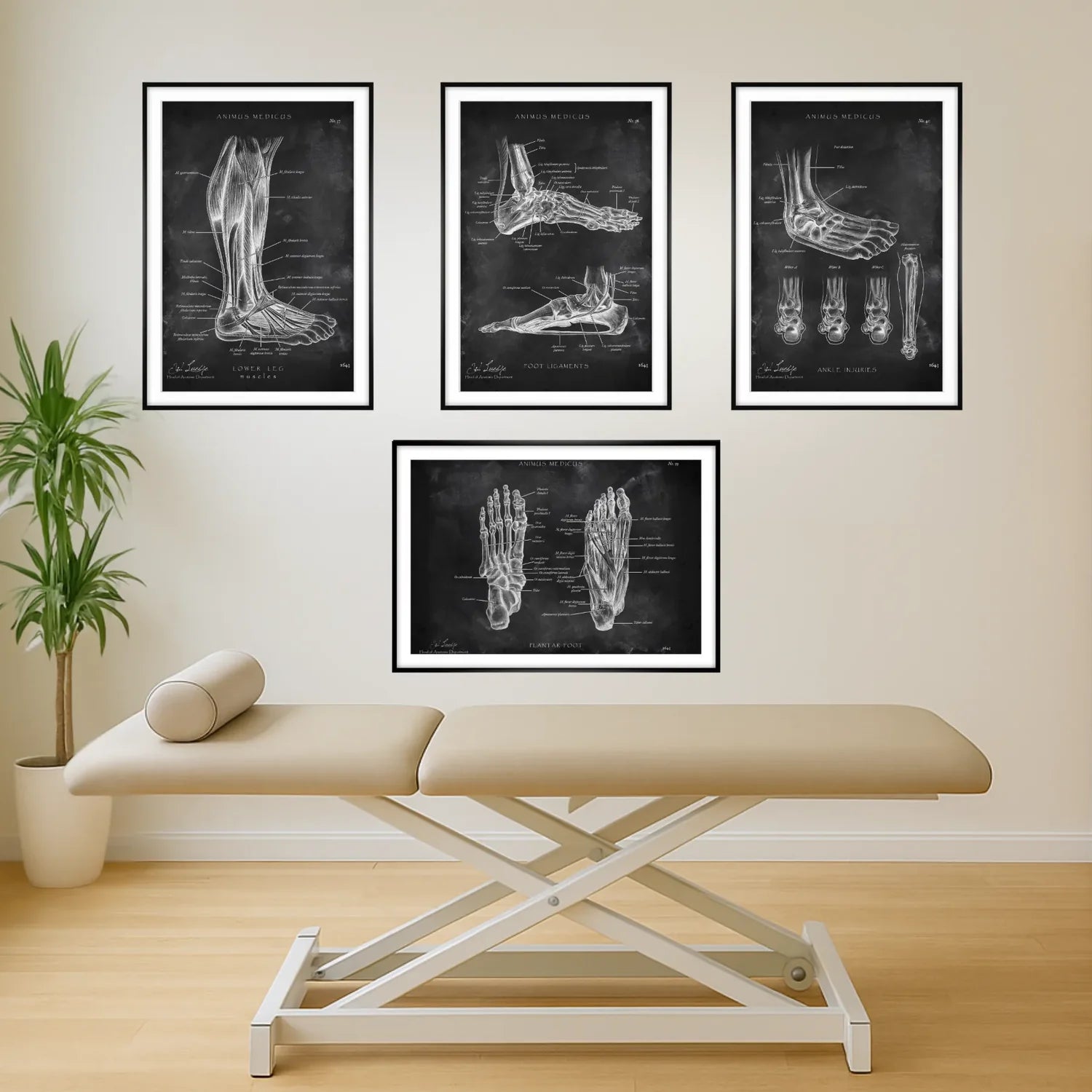 Foot Anatomy Collection - Chalkboard