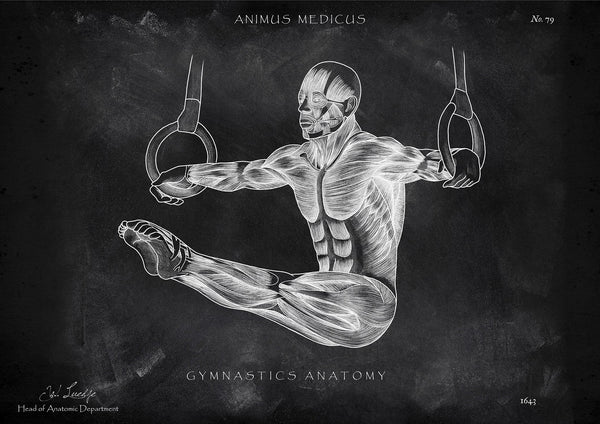 Gymnastics Anatomy Poster - Chalkboard